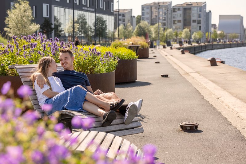 Aalborg Havnefront