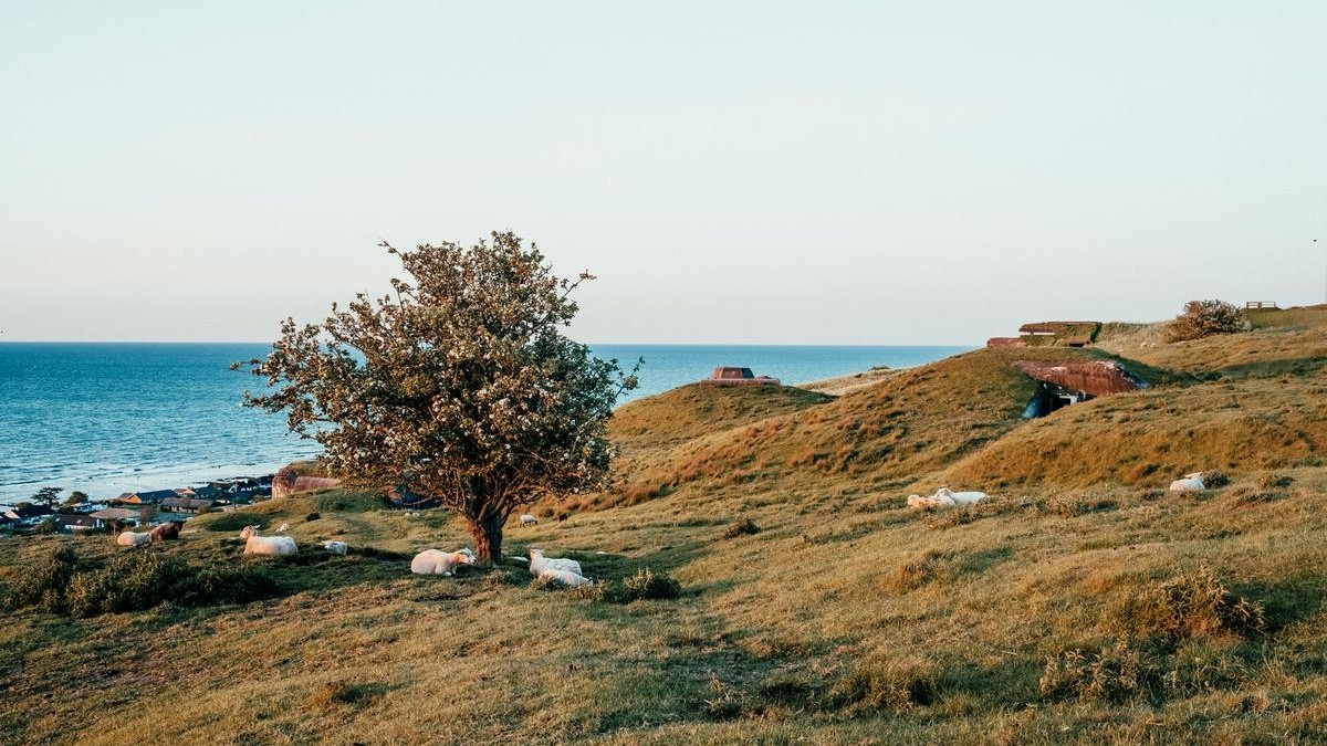 Bangsbo fort_frederikshavn