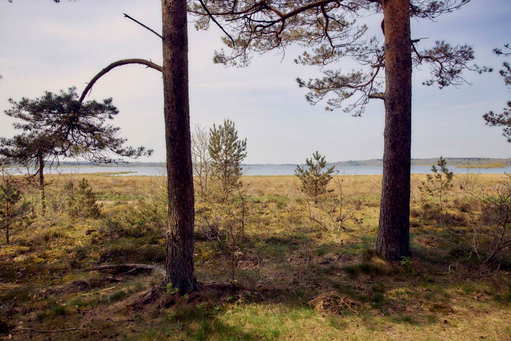 Boelling Sø - Andreas Houmann