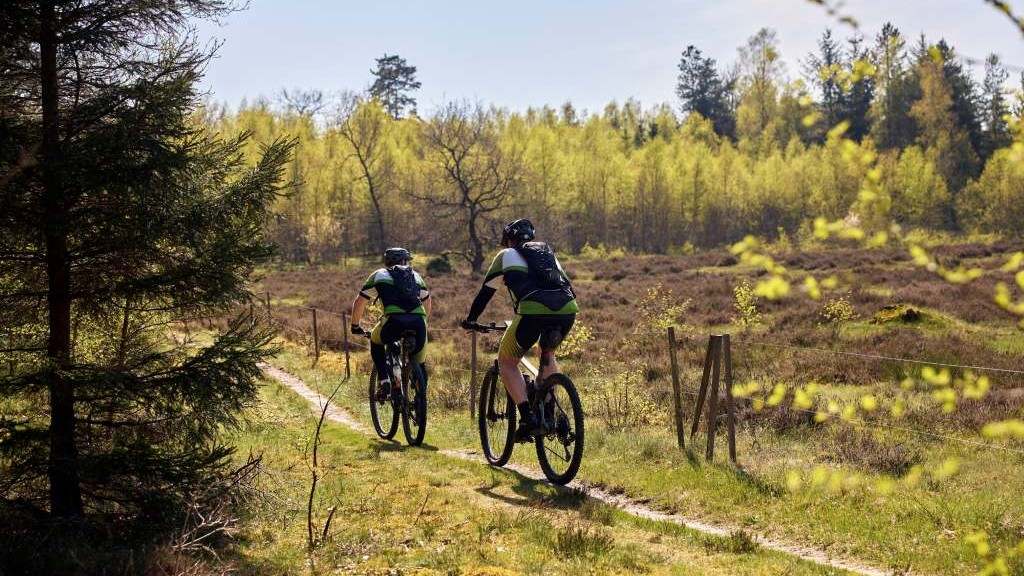 Vrads Sande-Andreas Houmann