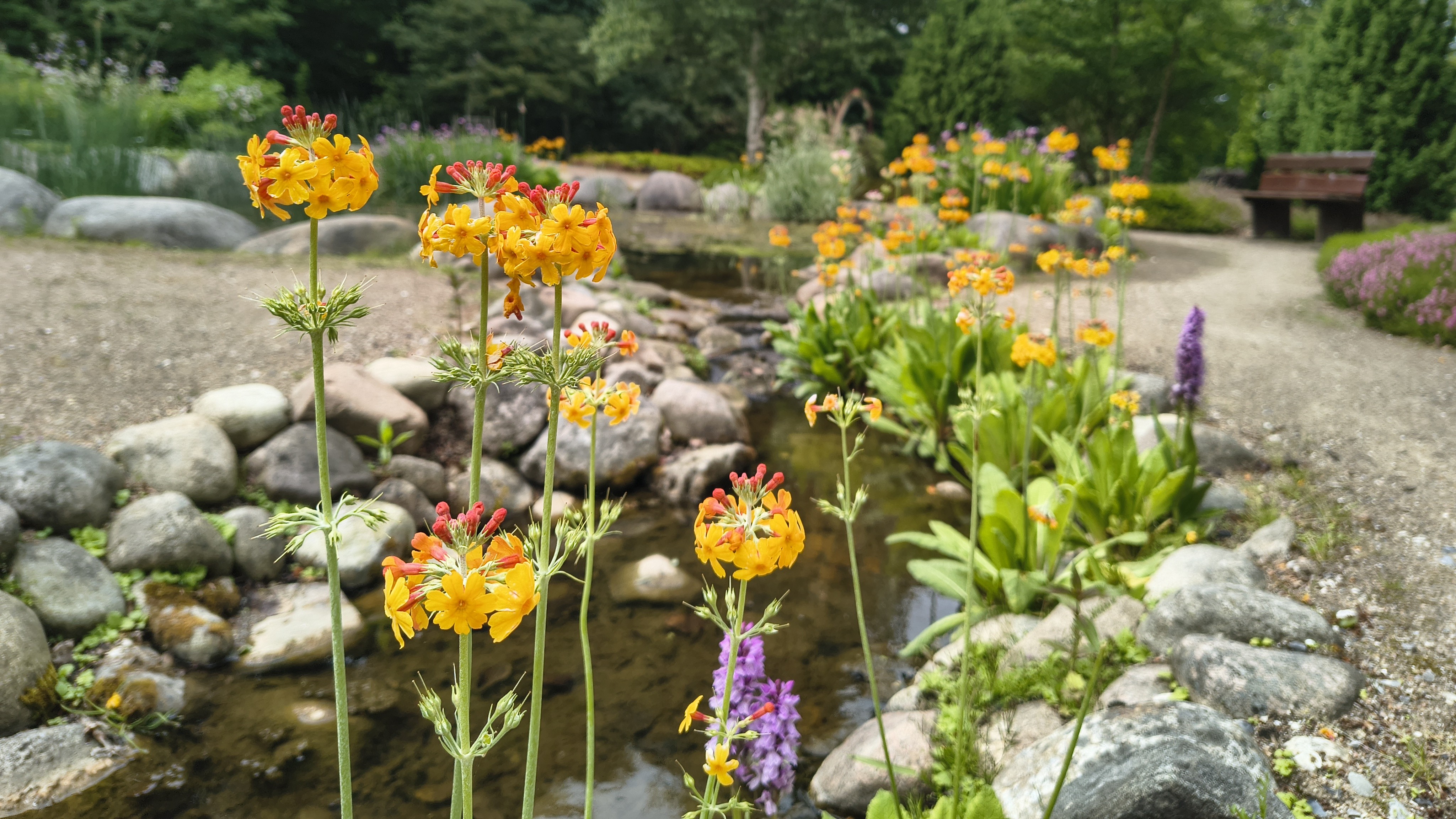 Bangsbo Botaniske Have