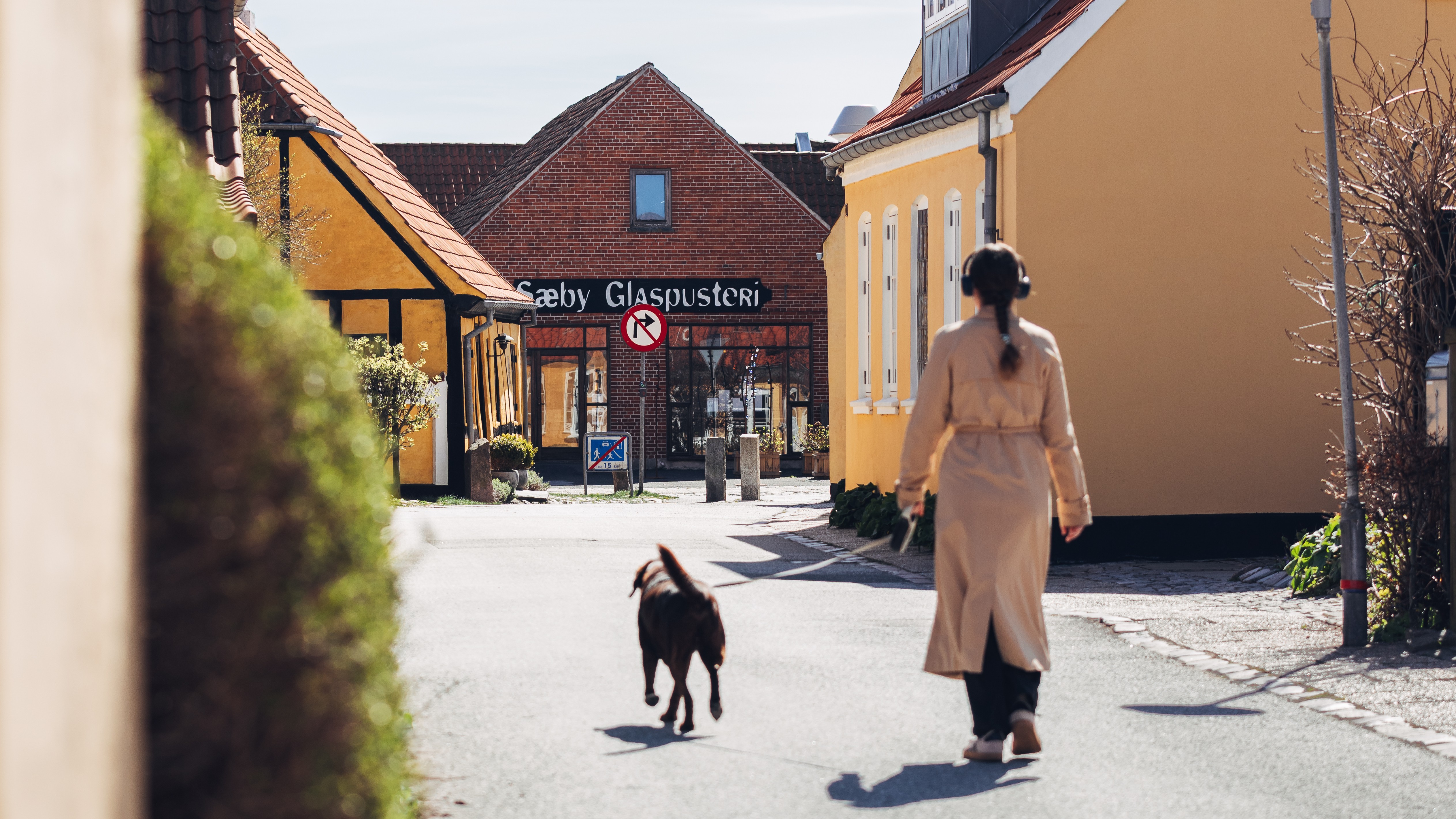 hund i Sæby