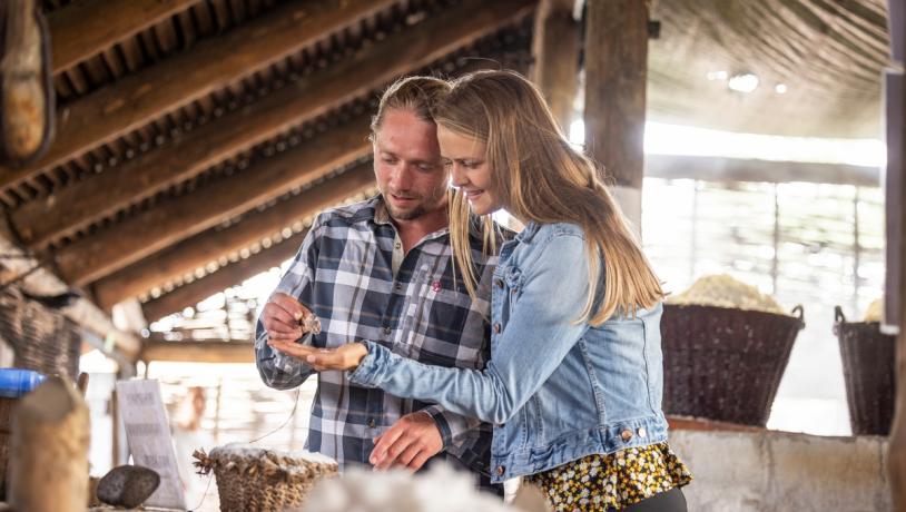 Læsø saltsyderi