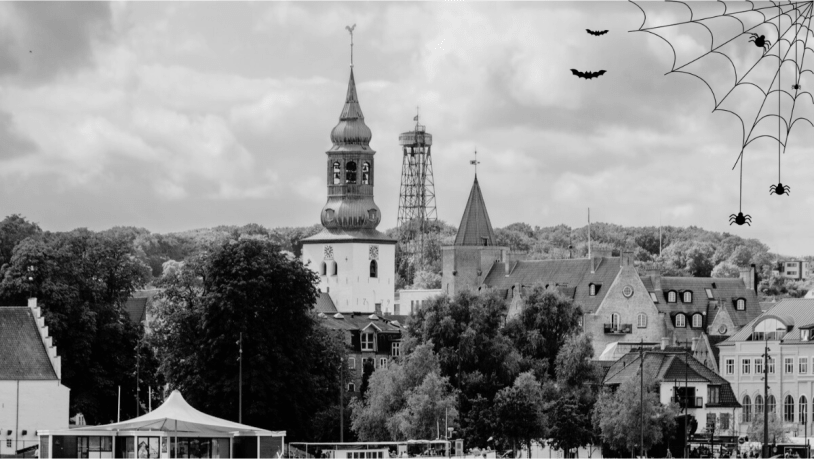 Budolfi kirke med spindelvæv i hjørnet