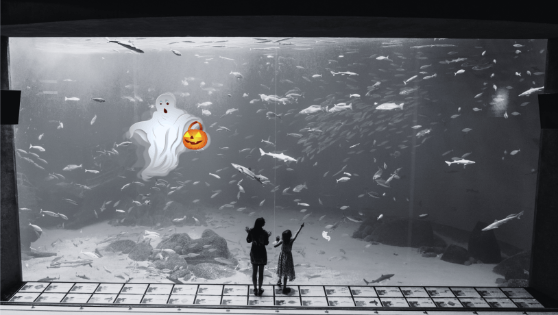 Børn står foran akvarie og der er et spøgelse