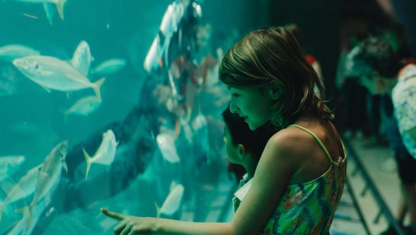 Nordsøen Oceanarium