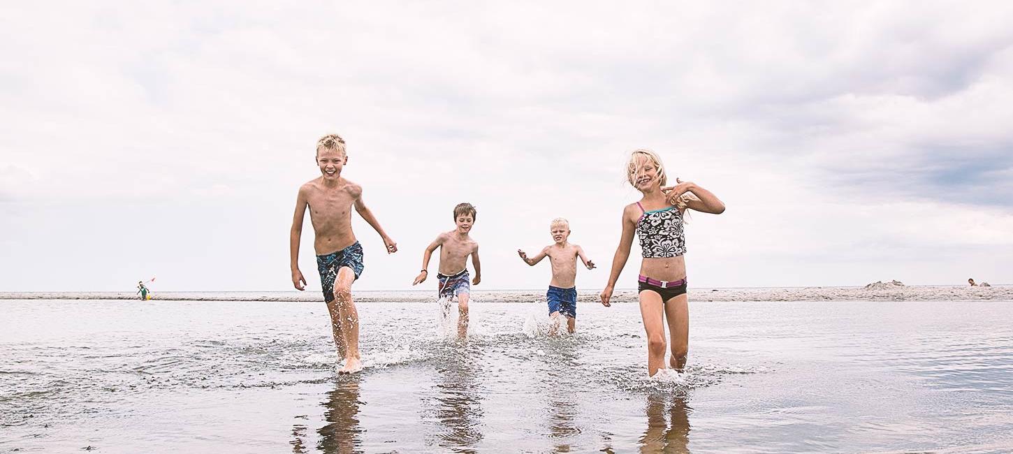 Beach at Aalborg Coast