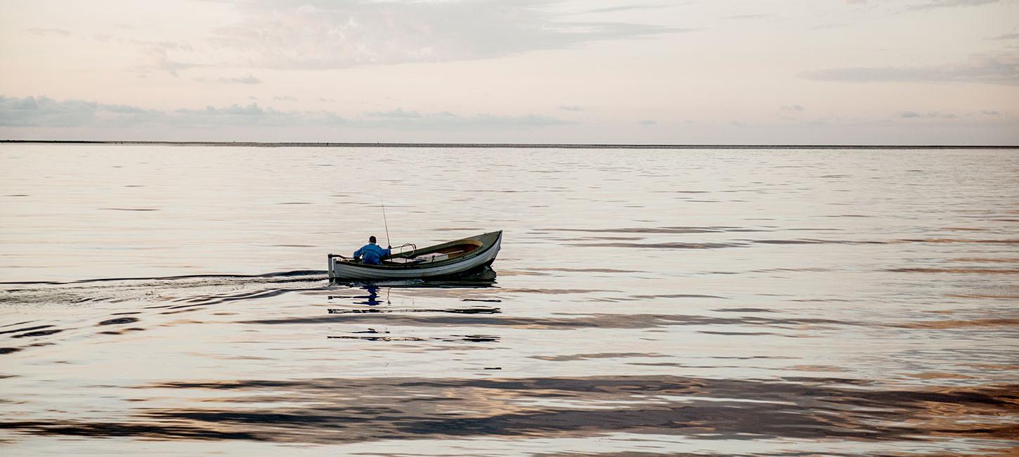 Fisker på Limfjorden