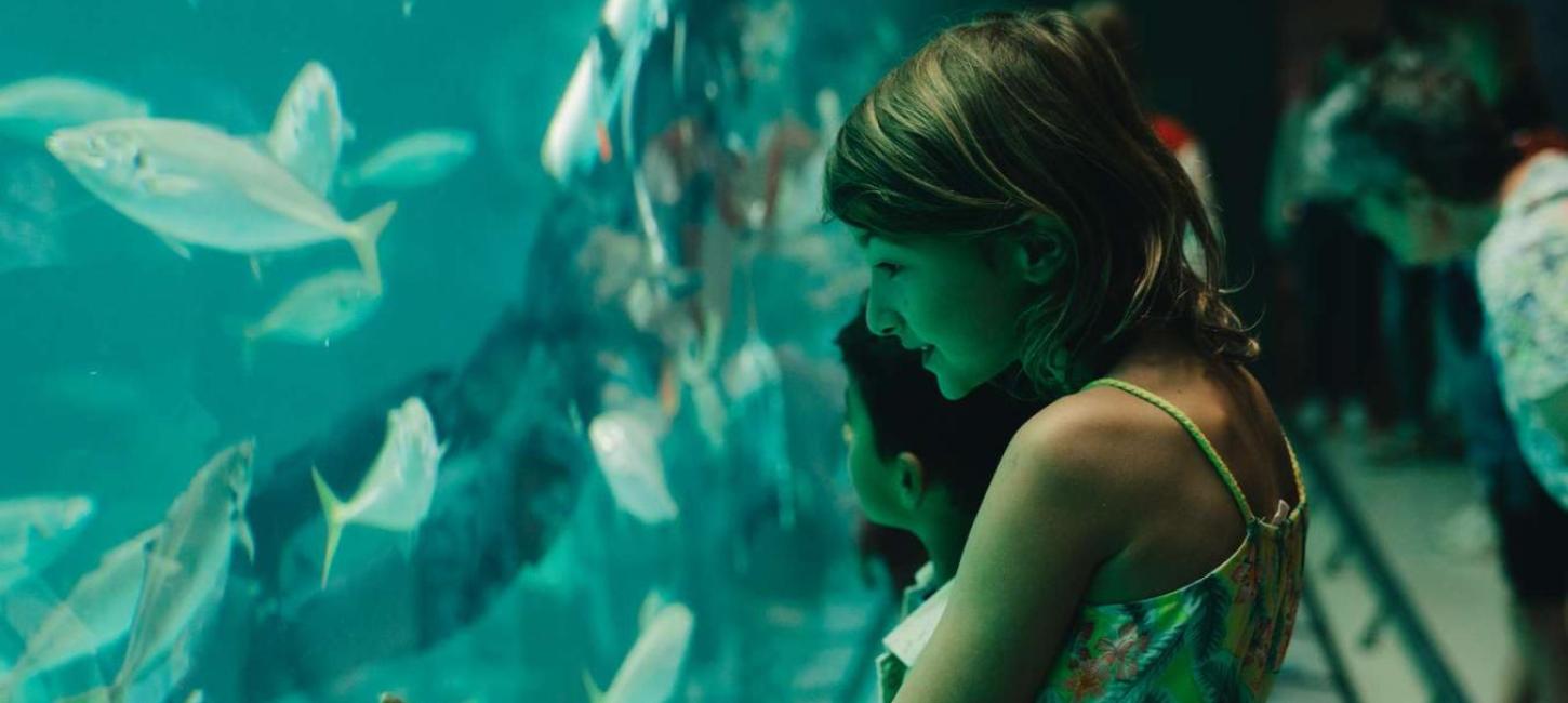 Nordsøen Oceanarium