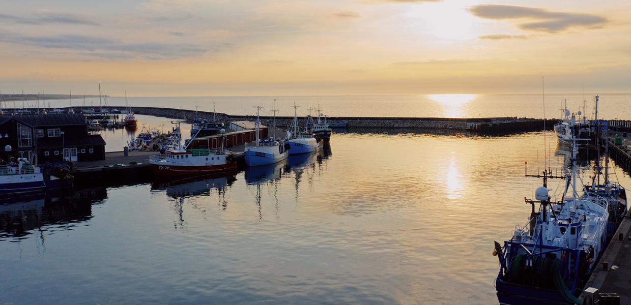 Vesterø Havn på Læsø