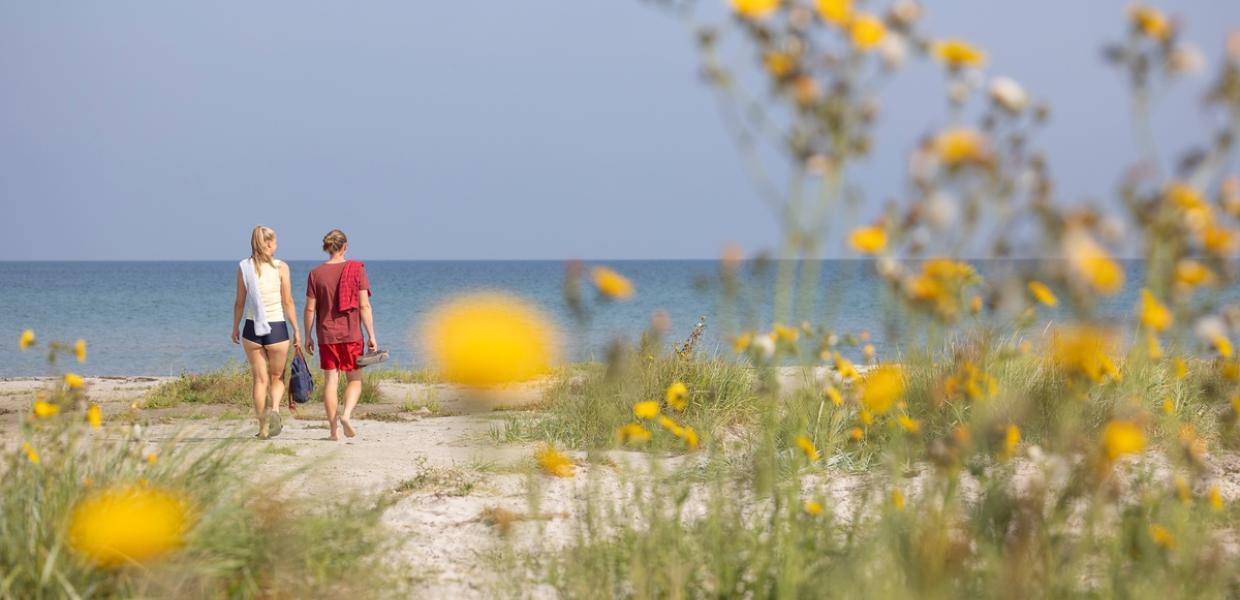 læsø strand