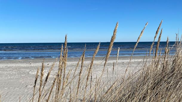 Lyngså Strand