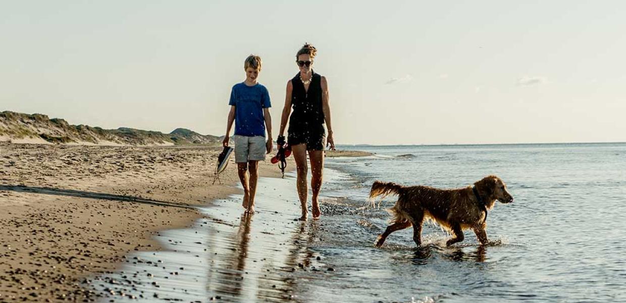 Skagen strand