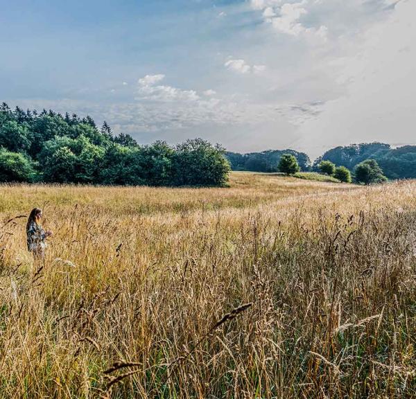 Jyske Ås i Nordjylland