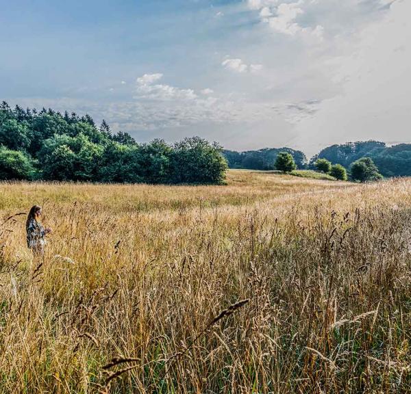 Jyske Ås i Nordjylland