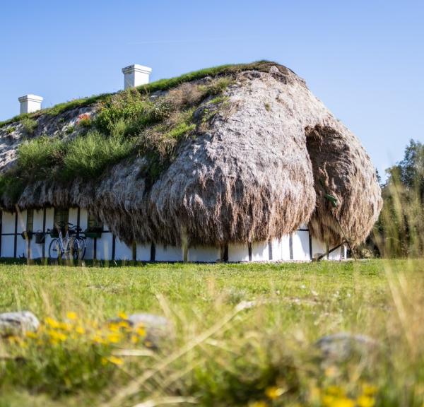 Læsø Tangtage