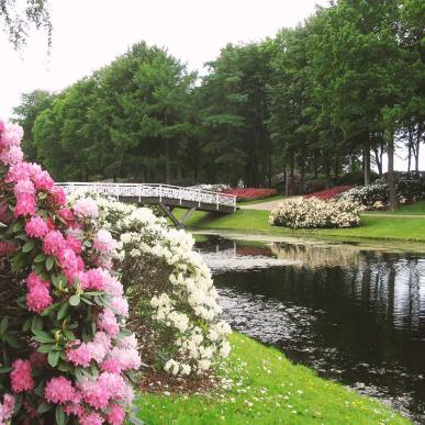 Rhododendronparken i Brønderslev