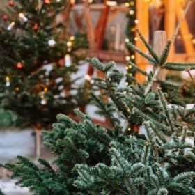 Julegaveidéer til ham, hende og dem