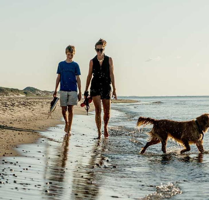 Skagen strand